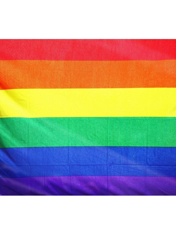 Bandera Orgullo LGBT 90 cm