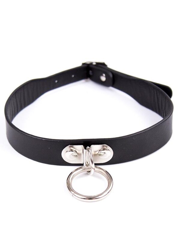 Collar Ajustable 43 cm Negro