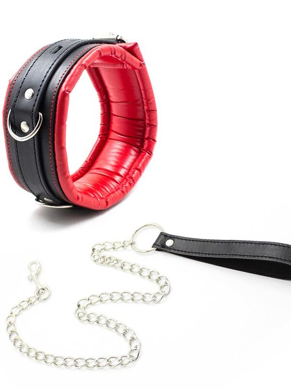 Collar con Correa de Metal e Interior Acolchado Negro/Rojo