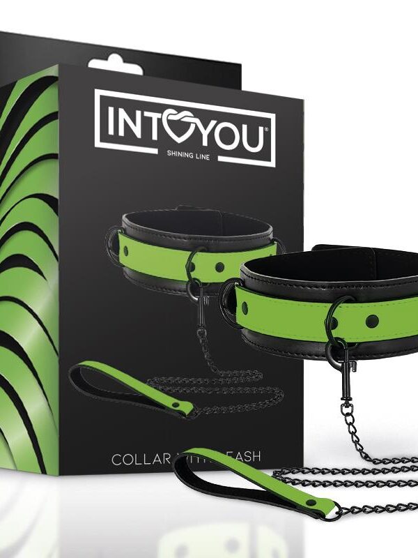 Collar con Correa que Brilla en la Oscuridad
