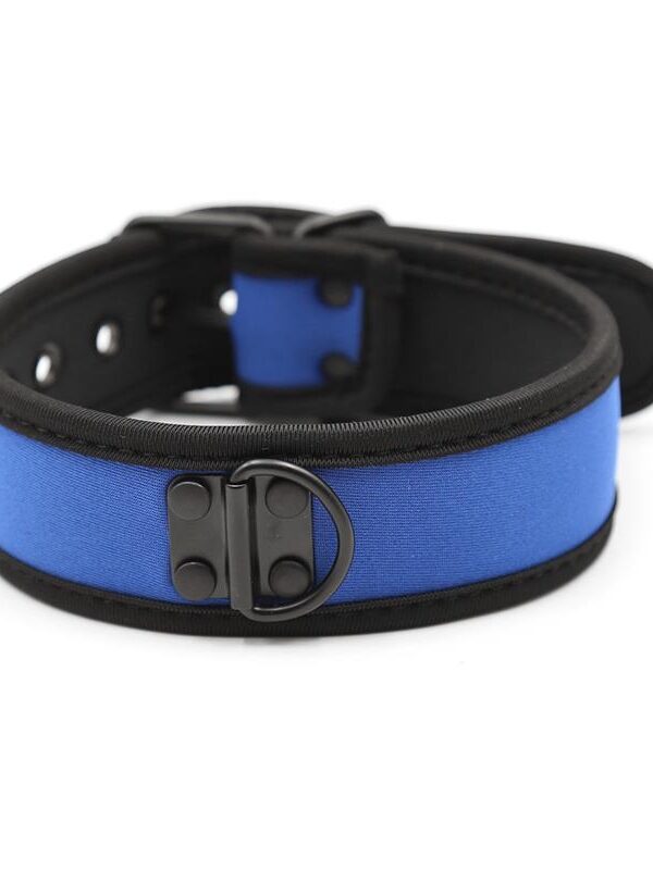 Collar de Neopreno Ajustable Azul