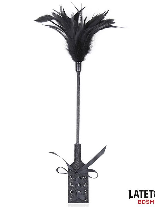 Multi Feathers Tickler and Lace Ribbon Paddle Comb