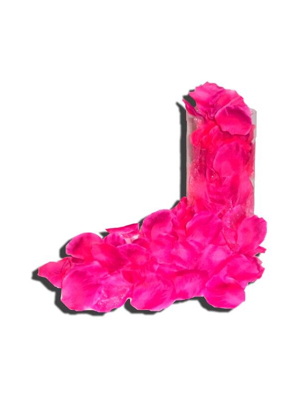 Pétalos de Rosa 120 Unidades Color Púrpura