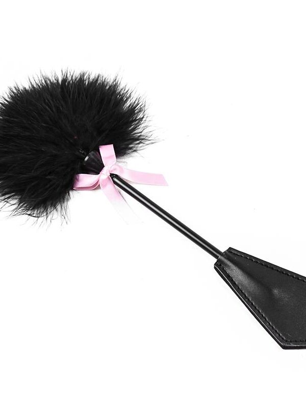 Plumero y Pala 2 en 1 29 cm Negro