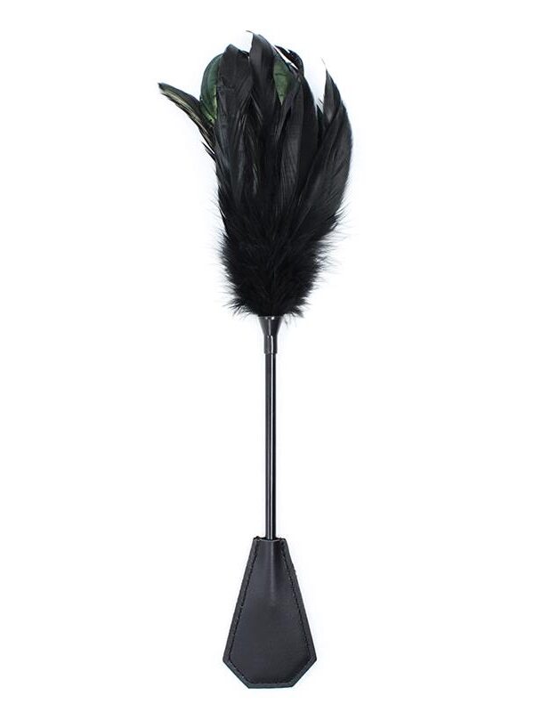 Plumero y Pala 2 en 1 48 cm Negro