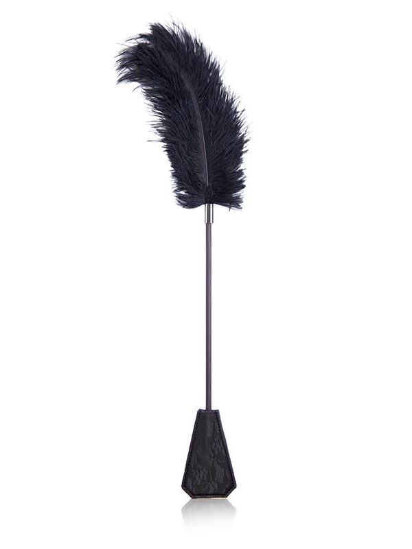 Plumero y Pala con Encaje 2 en 1 56 cm Negro