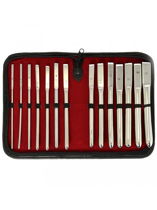 Set de Dilatadores de Uretra 14 piezas