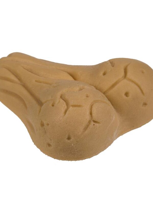Growing Testicle 4x3 cm