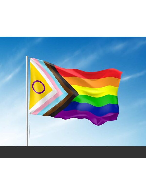 Bandera Intersexsual 90x150cm