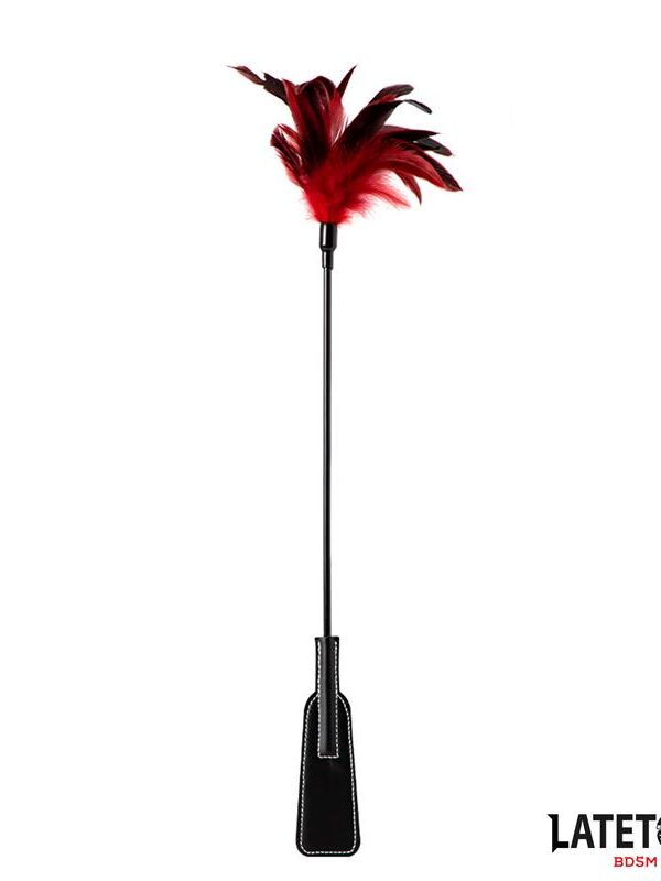 Pala con Plumas 2 en 1
