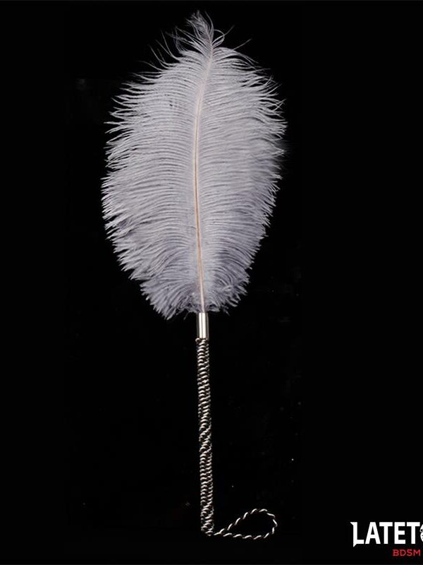 Pluma Estimuladora 44 cm